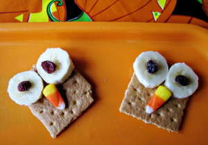healthy-owl-smore-300x209